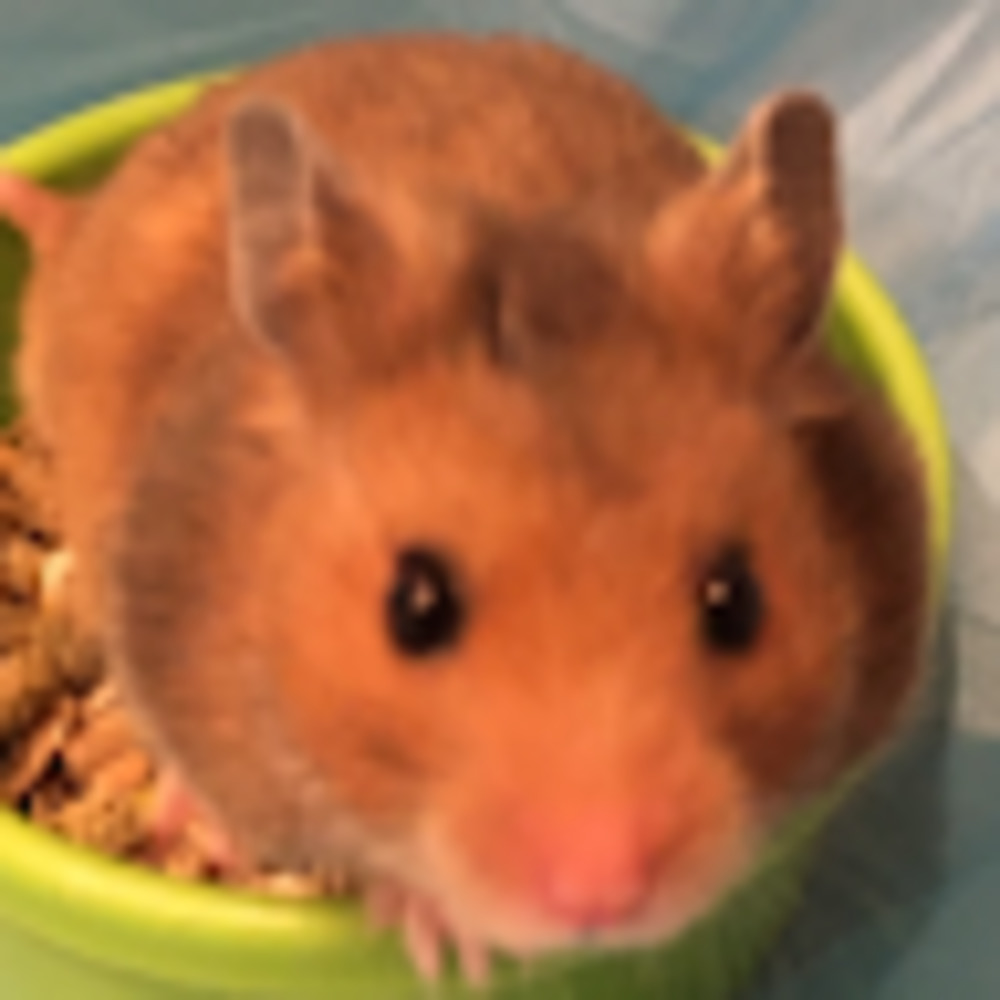 Meet your Posher, Kelly